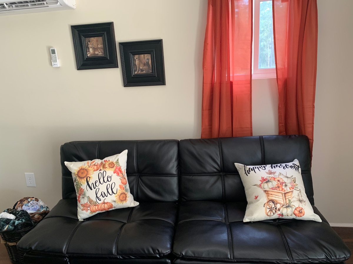 Woonkamerbank... comfortabele plek om een boek te lezen of je favoriete show te bekijken. 