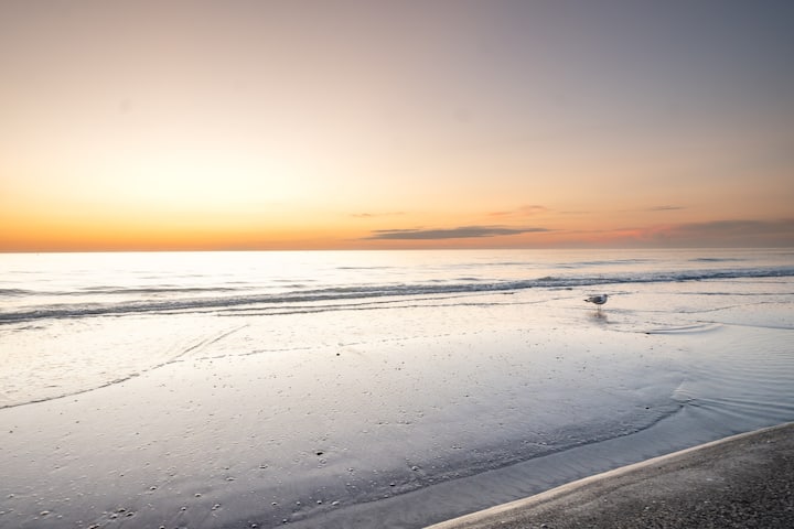 Perfect Location! 1 House To Beach 2 King 2 Twin