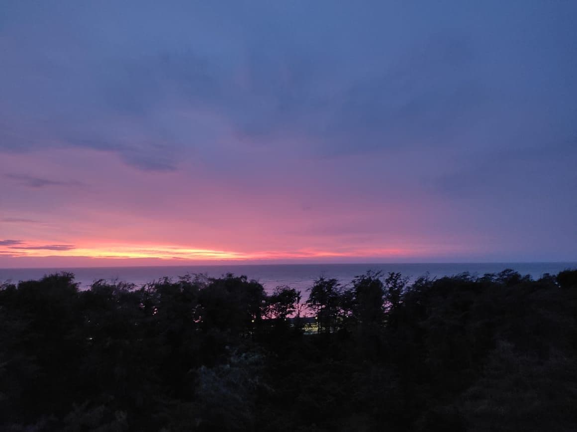 A serene twilight scene reveals a stunning gradient of colors in the sky, transitioning from soft purples to warm oranges. Silhouetted trees line the horizon, framing the tranquil view of the ocean at dusk.