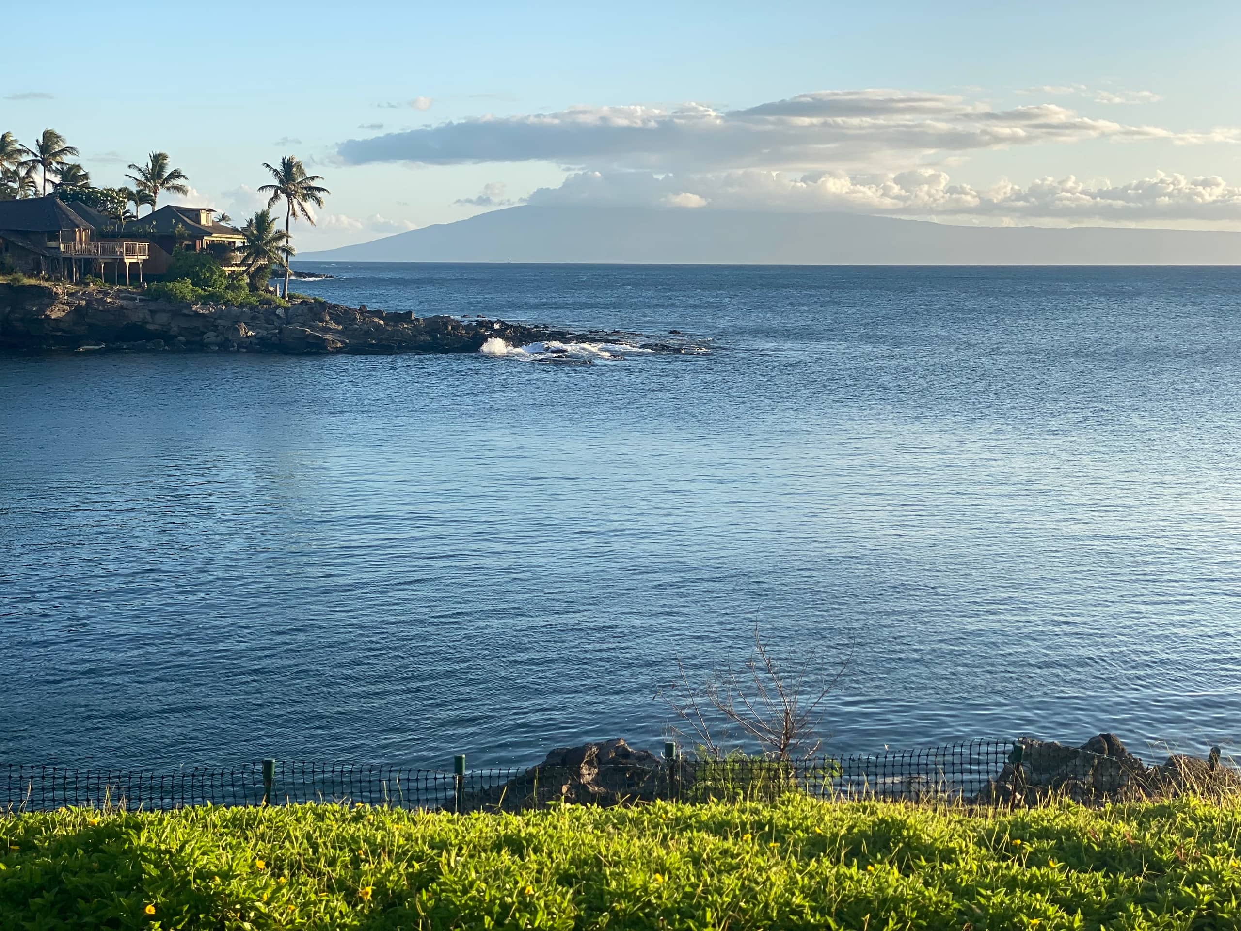 Condo in Lahaina · ★4.87 · 1 bedroom · 1 bed · 1 bath - Image 54