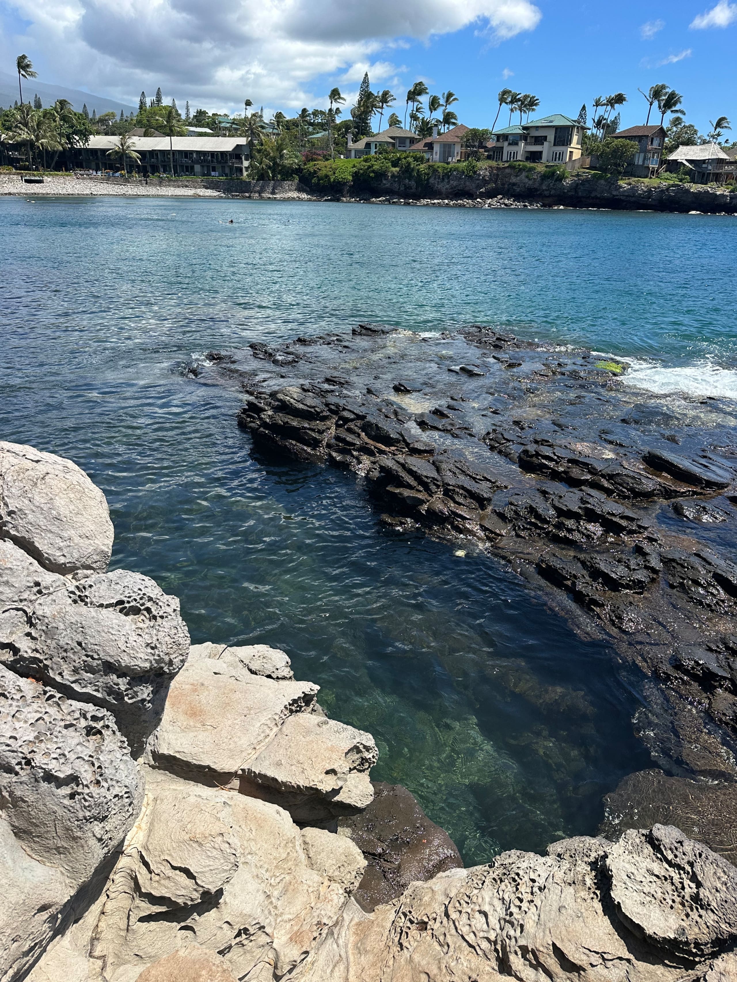 Condo in Lahaina · ★4.87 · 1 bedroom · 1 bed · 1 bath - Image 116