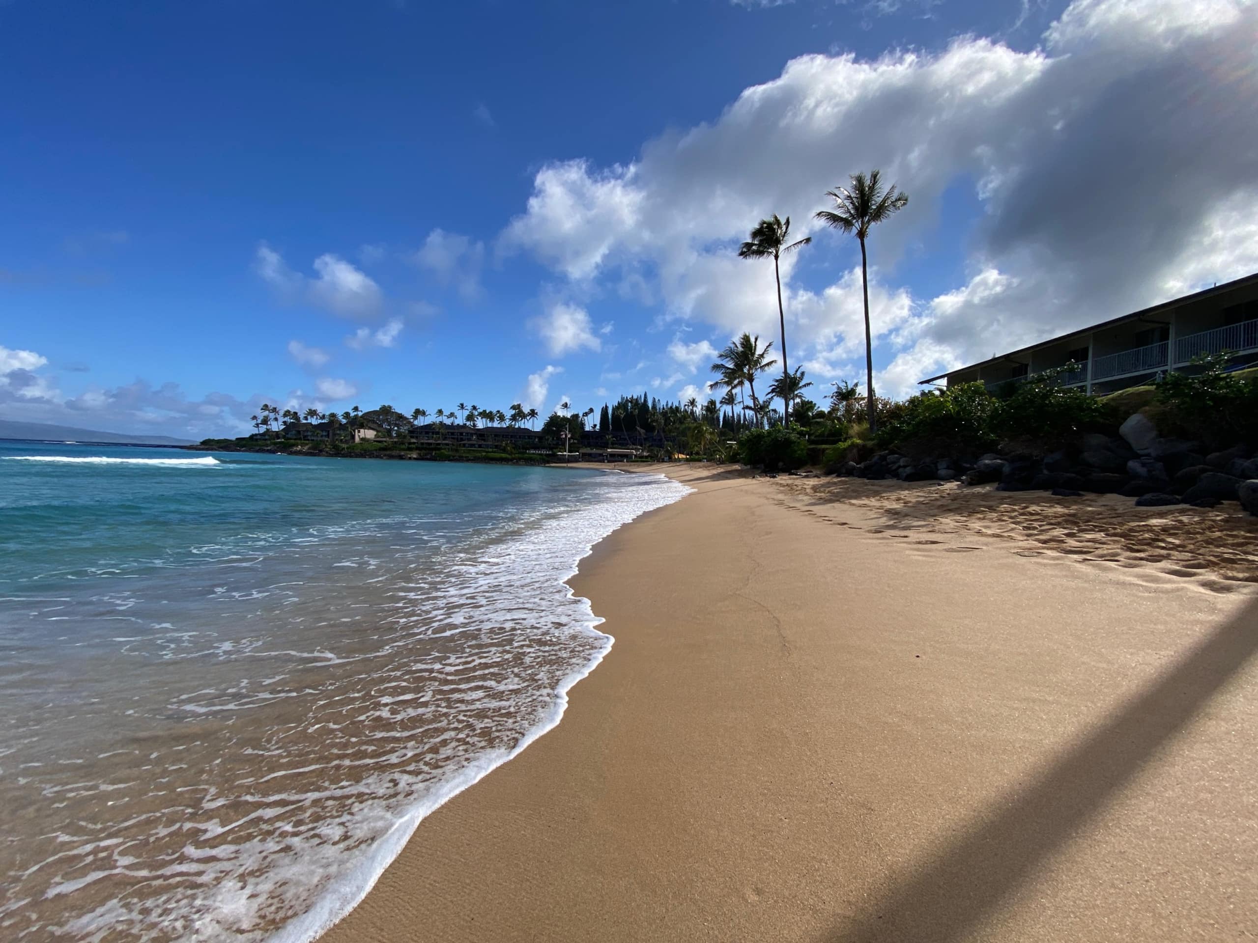 Condo in Lahaina · ★4.87 · 1 bedroom · 1 bed · 1 bath - Image 111