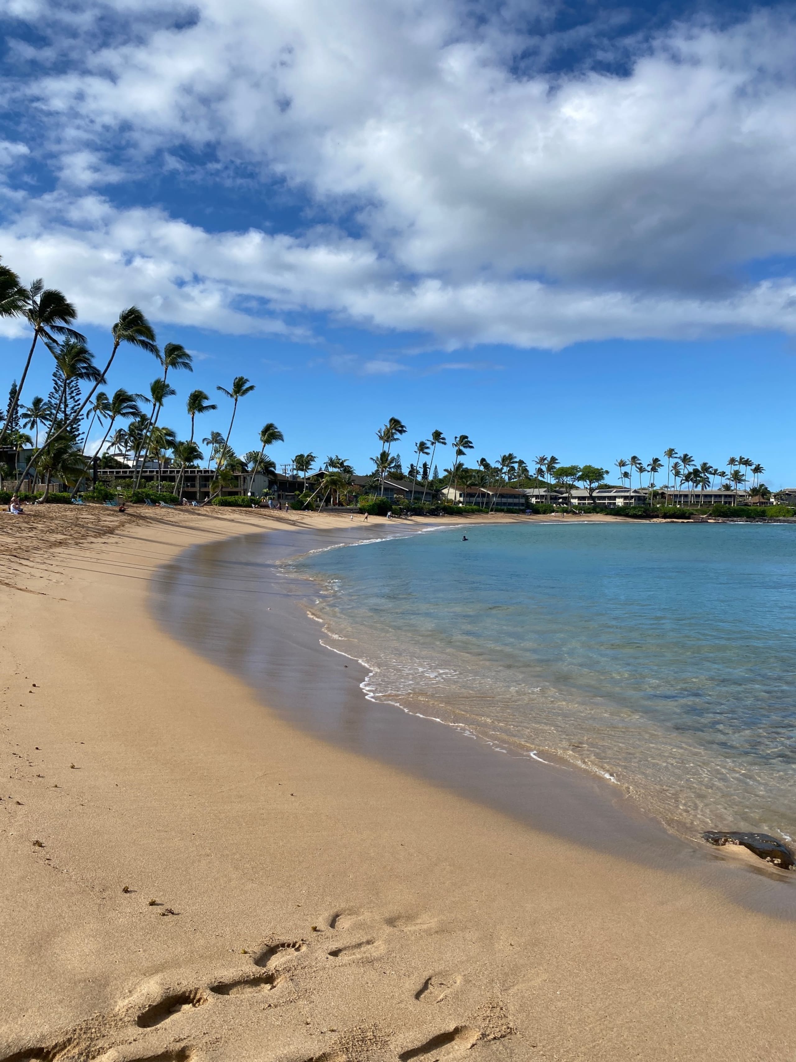 Condo in Lahaina · ★4.87 · 1 bedroom · 1 bed · 1 bath - Image 109