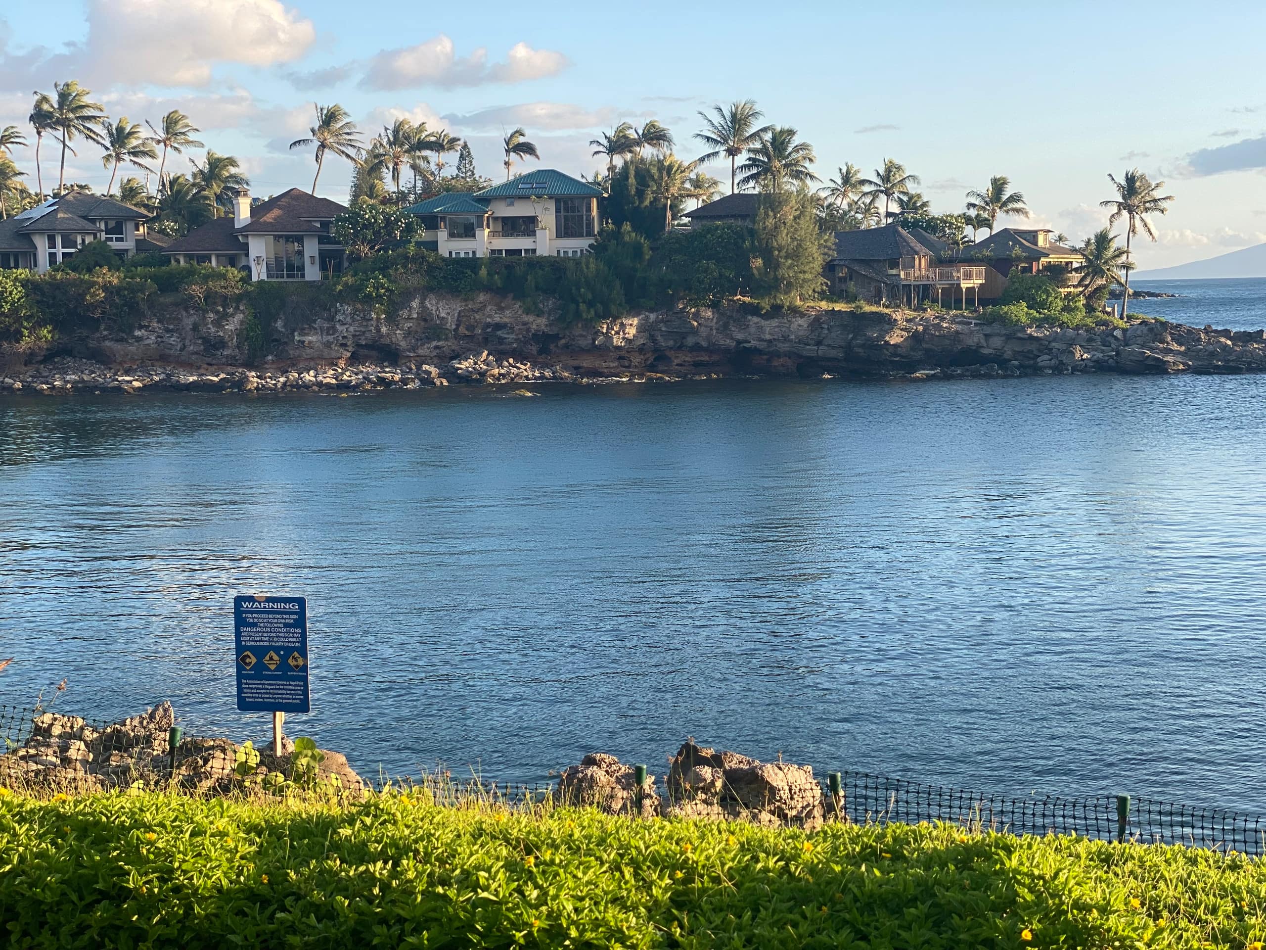 Condo in Lahaina · ★4.87 · 1 bedroom · 1 bed · 1 bath - Image 77