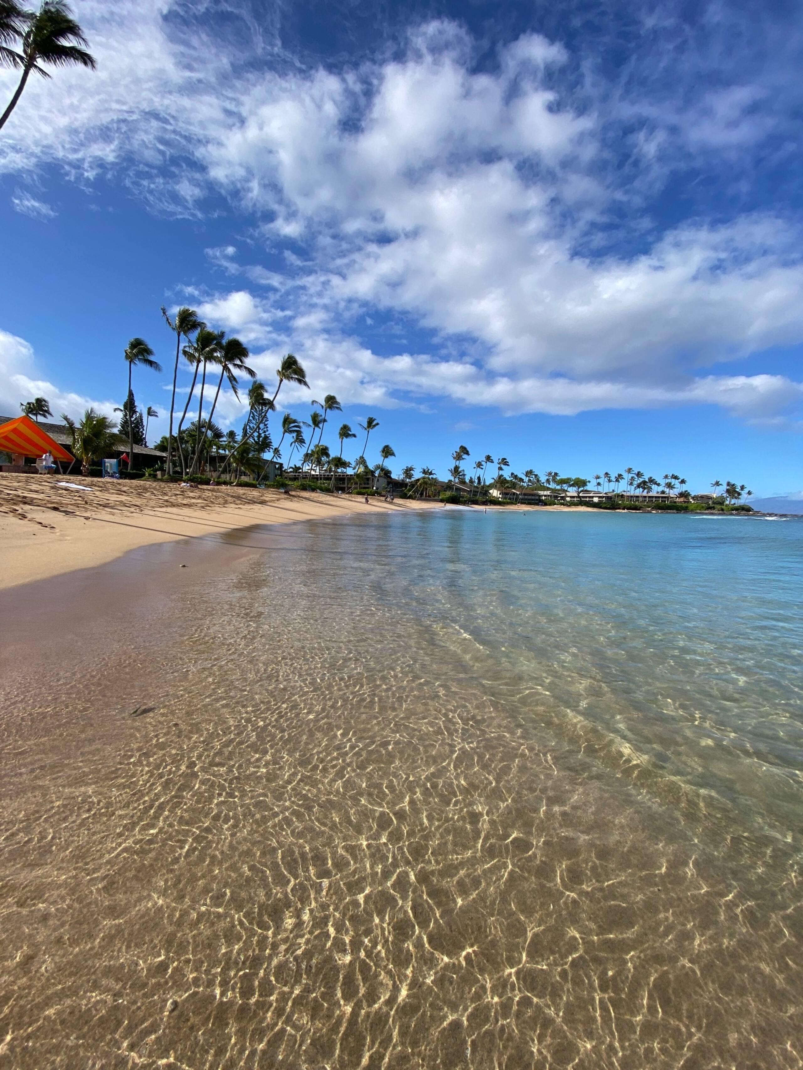 Condo in Lahaina · ★4.87 · 1 bedroom · 1 bed · 1 bath - Image 113