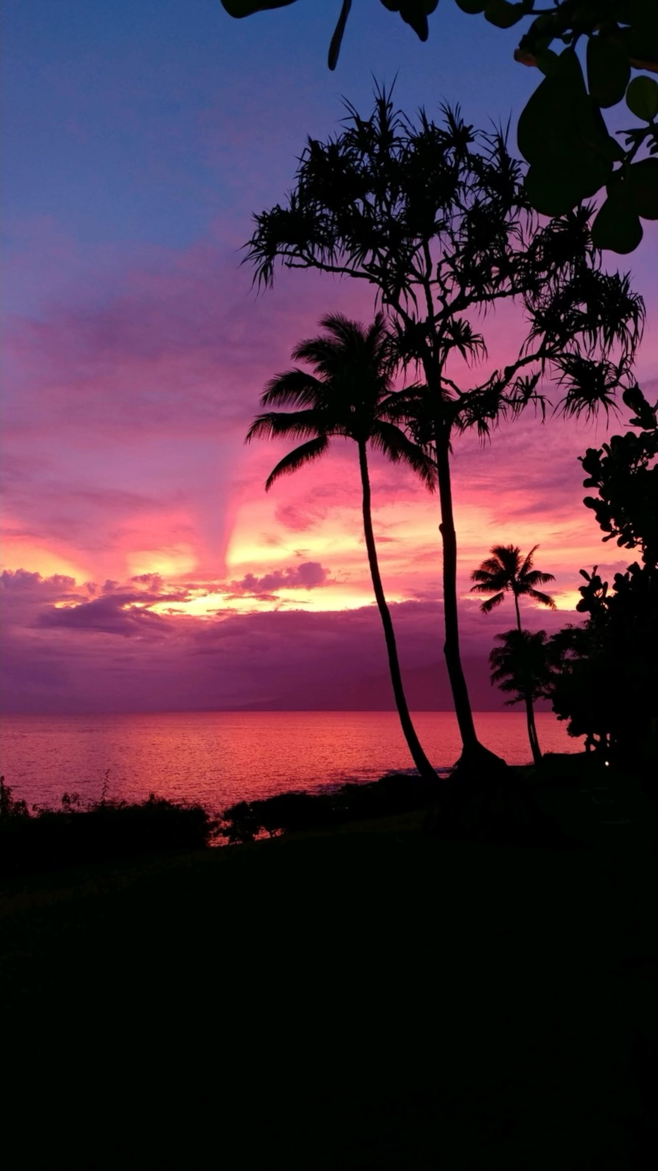 Condo in Lahaina · ★4.87 · 1 bedroom · 1 bed · 1 bath - Image 80