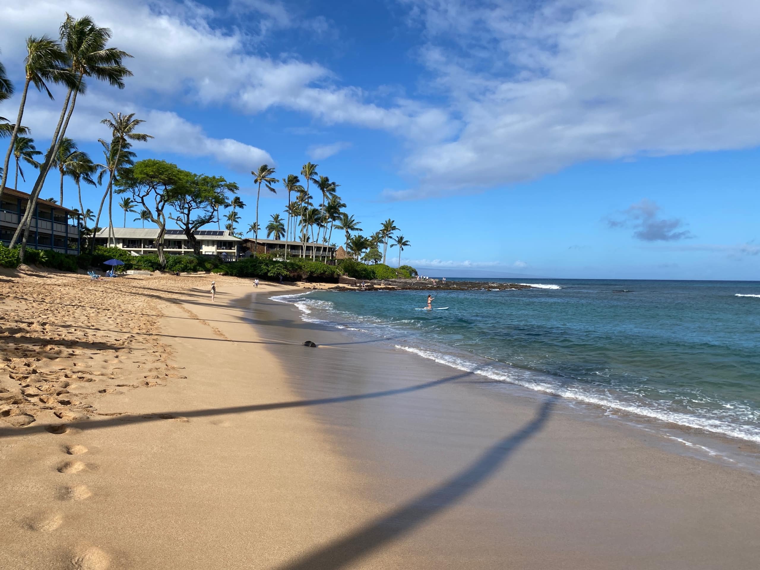 Condo in Lahaina · ★4.87 · 1 bedroom · 1 bed · 1 bath - Image 112