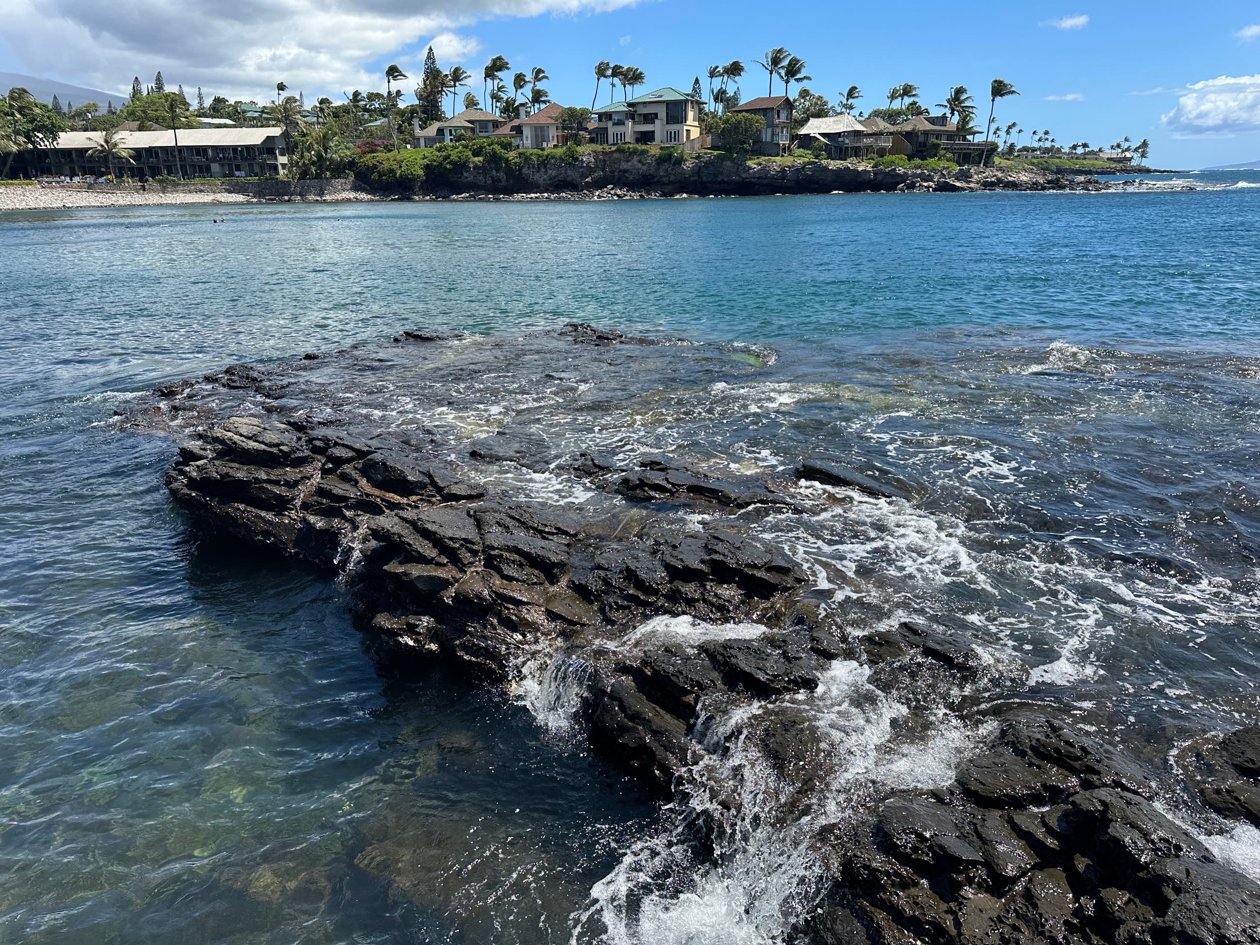 Condo in Lahaina · ★4.87 · 1 bedroom · 1 bed · 1 bath - Image 114