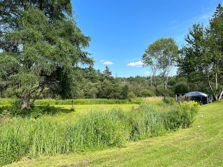 Cosy Apartment For Two In The Heart Of Muskoka! - Huntsville