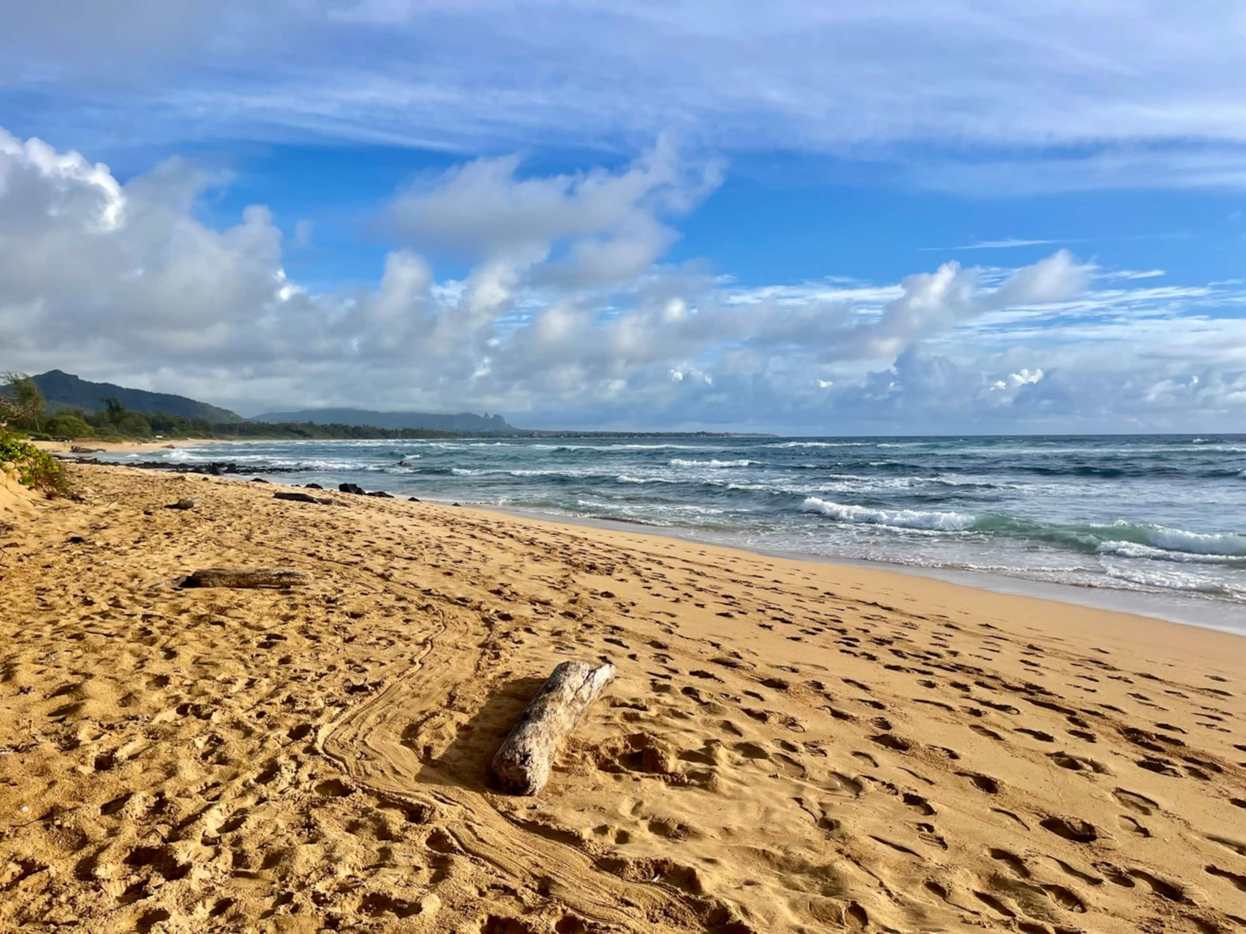 Resort in Lihue · ★4.85 · 1 bedroom · 2 beds · 1 private bath - Image 32