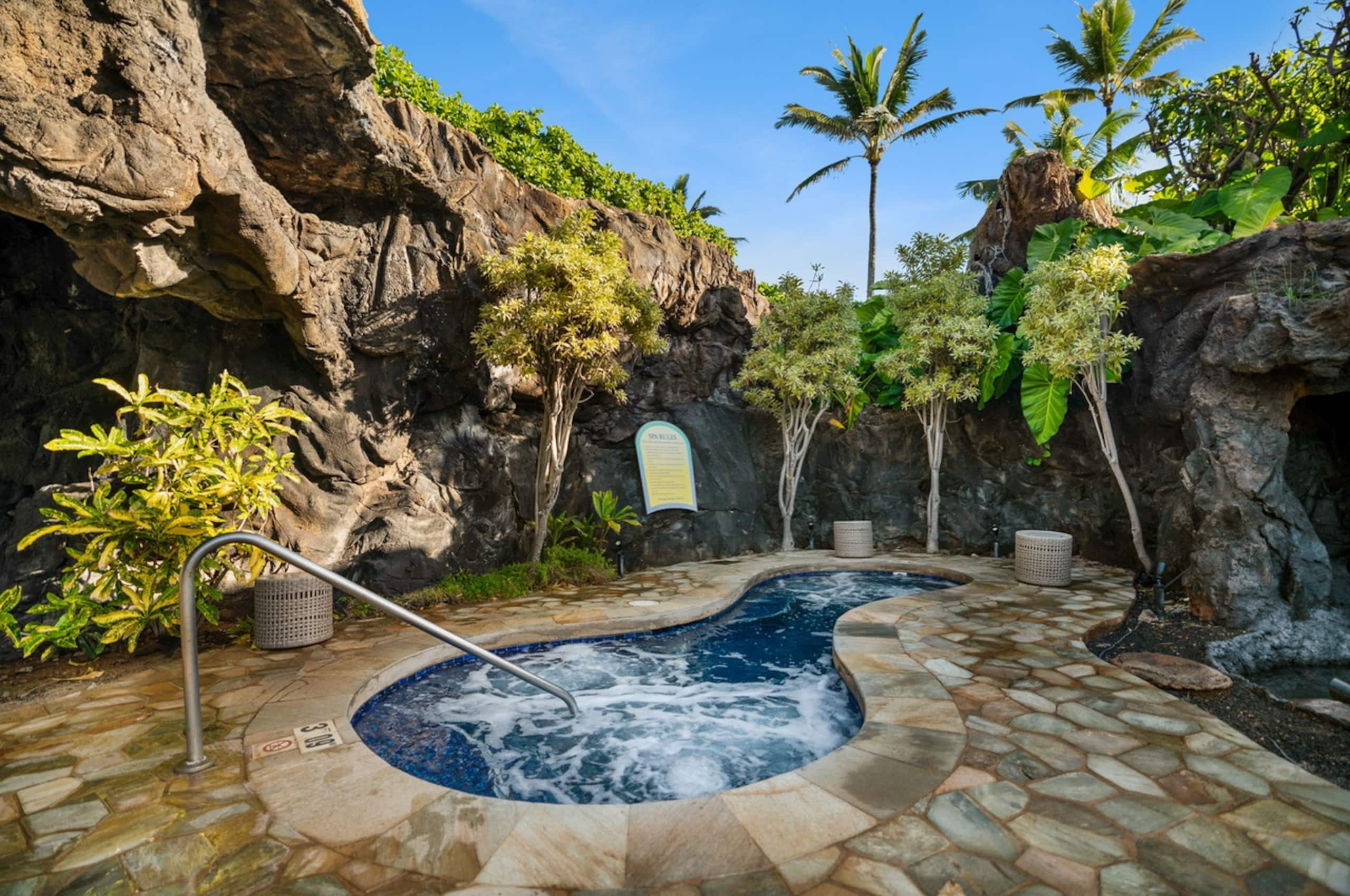 Resort in Lihue · ★4.85 · 1 bedroom · 2 beds · 1 private bath - Image 45