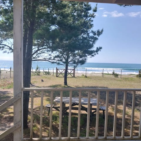 Pilpilen, oceanfront