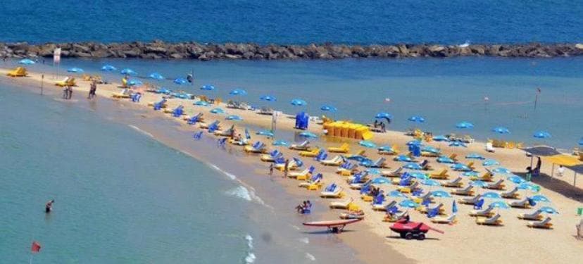 A serene beach scene features a wide stretch of sandy shoreline lined with yellow and blue lounge chairs and umbrellas. Gentle waves lap at the shore, with a glimpse of rocky formations in the background. Beachgoers can be seen enjoying the sunny day.