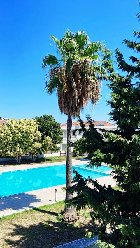 Tropical Cyprus Villa With Swimming Pool