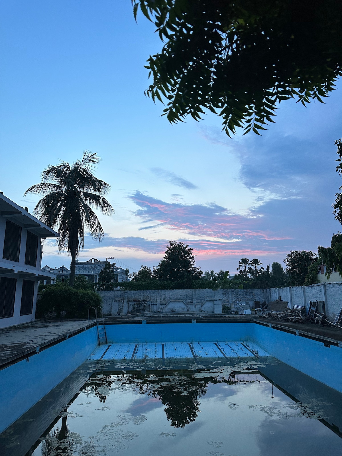 A serene swimming pool reflects the soft colors of the evening sky, surrounded by palm trees. The pool's surface shows hints of nature, with faint foliage visible. The spacious area showcases a backdrop of buildings and vegetation, creating a calm and open environment.