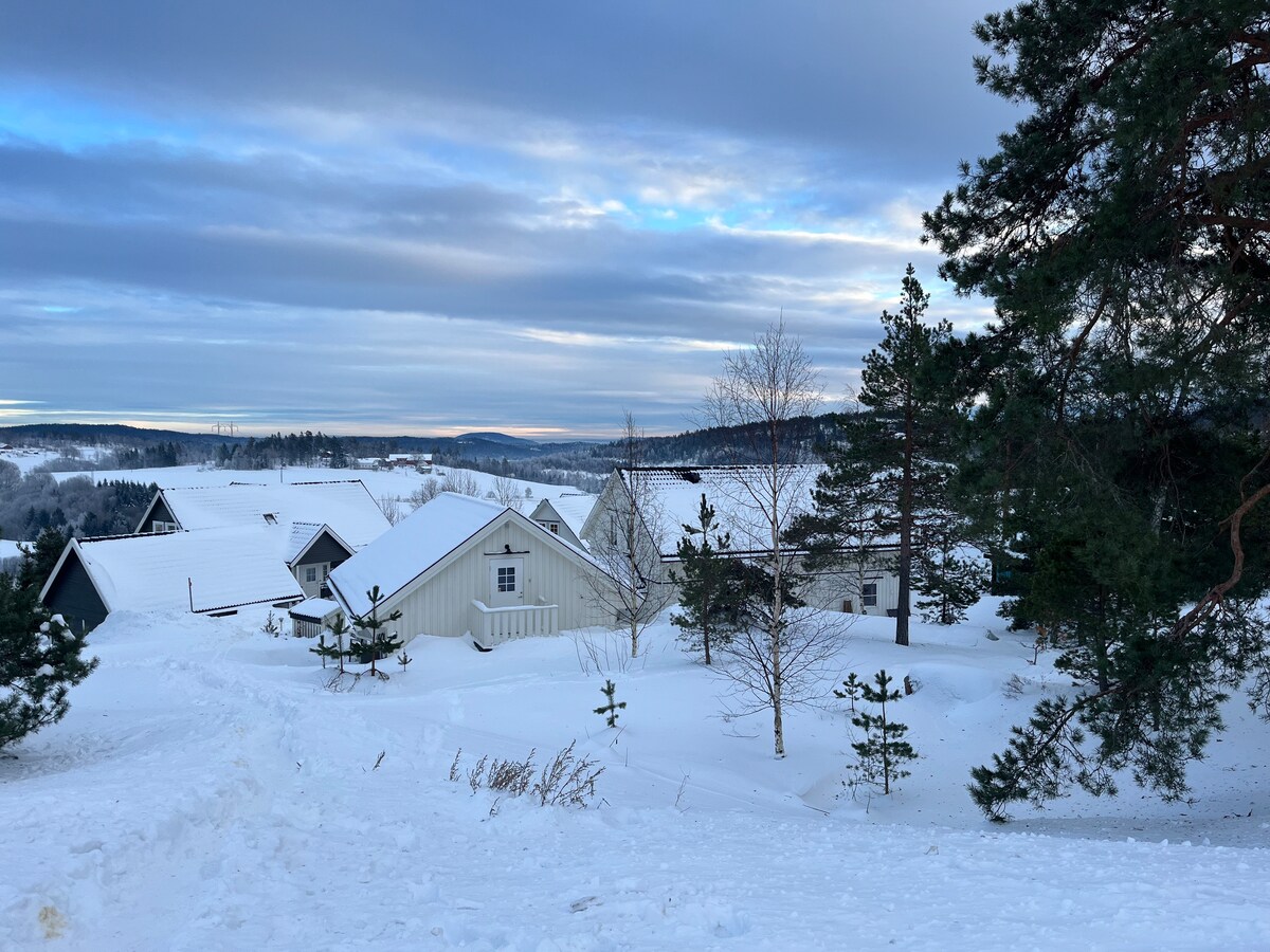 A serene winter landscape is depicted, showcasing a cluster of white houses nestled among snow-covered ground. Tall pine trees stand nearby, while distant hills and a cloudy sky create a calming backdrop. The scene conveys a peaceful and natural environment.
