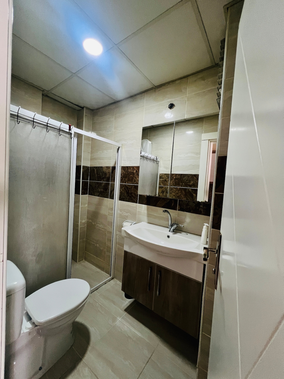 A compact bathroom features a glass-enclosed shower with a silver showerhead. A modern vanity with a sink is accompanied by a large mirror above. Tiles in neutral tones provide a clean and spacious appearance, while a toilet is positioned beside the shower.