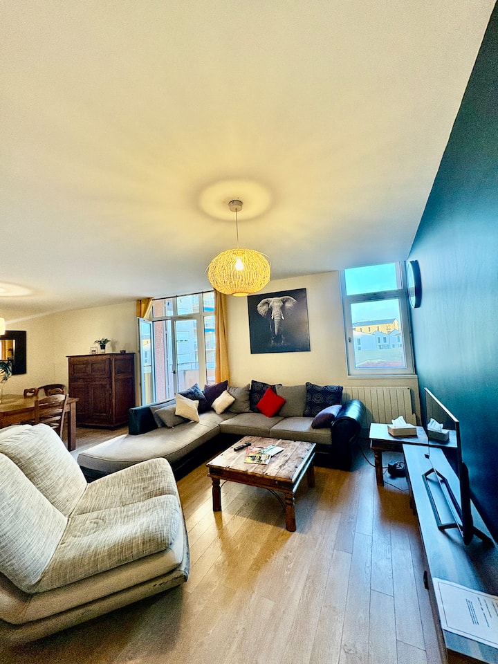 Bel Appartement En Rue Piétonne - Roanne