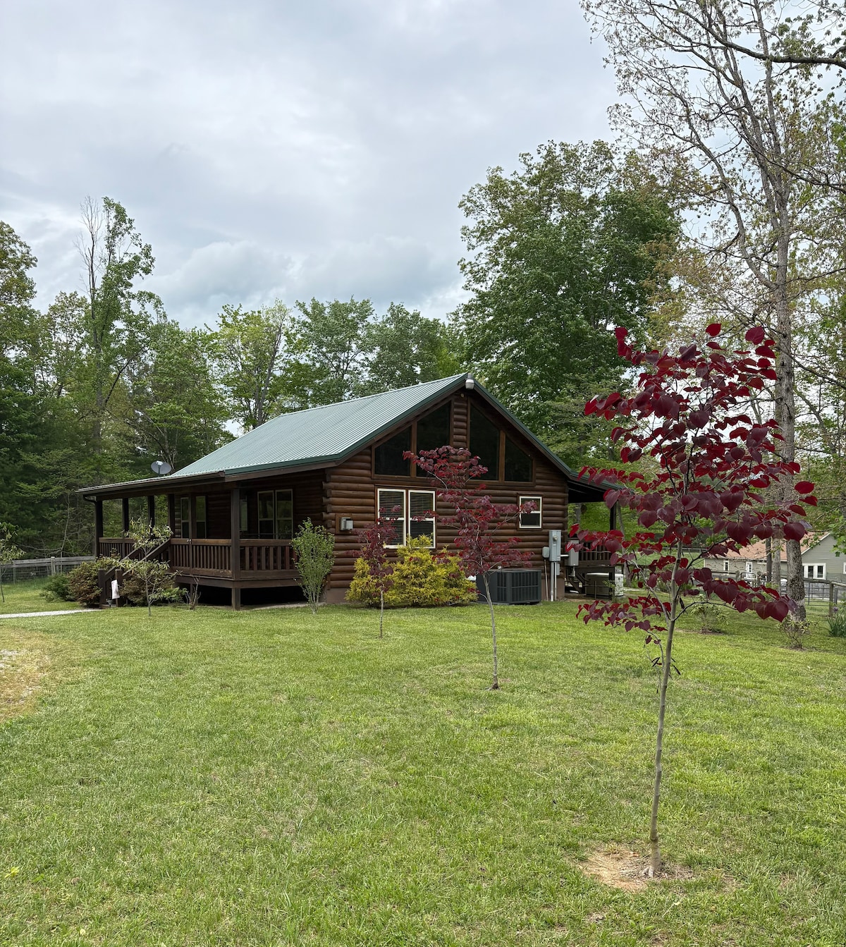 A log cabin features a green metal roof and is surrounded by lush grass and young trees. A spacious covered porch extends across the front, providing a welcoming entry. The natural landscaping enhances the serene setting, while the backdrop of tall trees adds to the cabin's secluded feel.