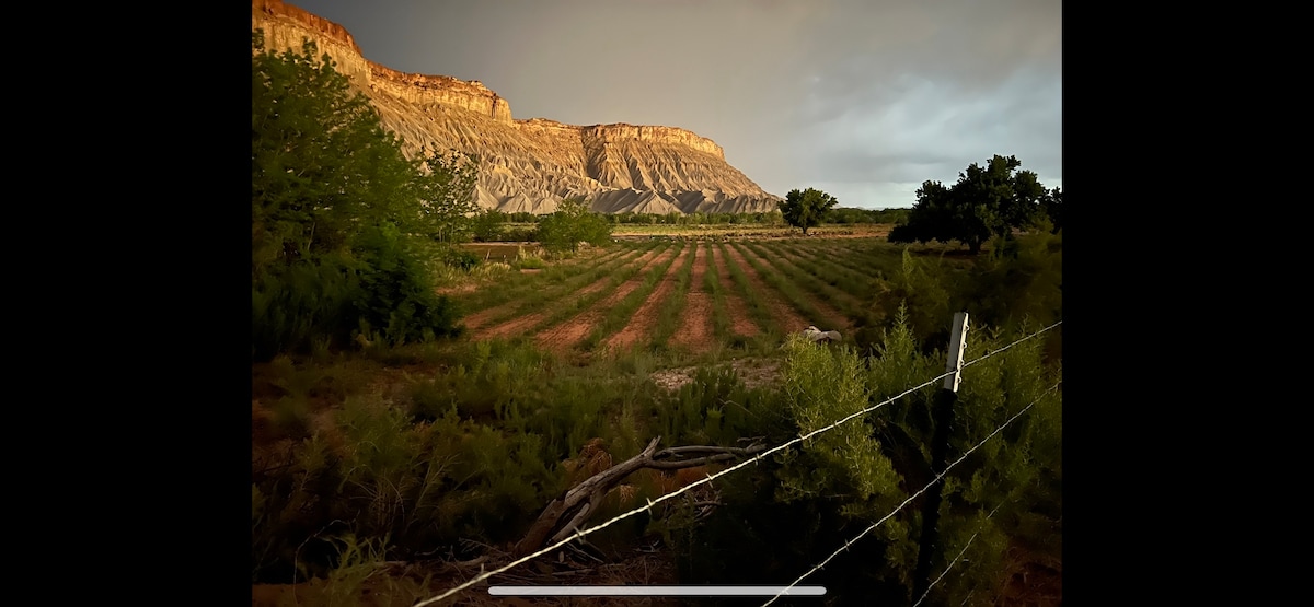 A vast landscape is depicted with terraced rows of crops in the foreground, bordered by a barbed wire fence. Majestic rock formations rise in the background under a moody sky, showcasing the natural beauty of the surrounding area.