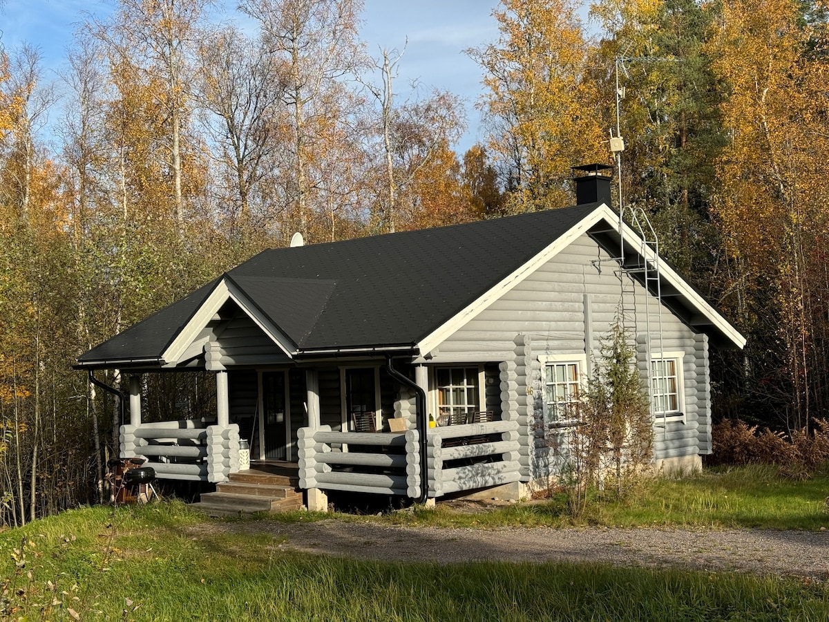 A wooden cabin is nestled among trees, featuring a sloped roof and a porch with log railings. Large windows provide natural light, while the surrounding foliage showcases a variety of autumnal colors, enhancing the serene setting.