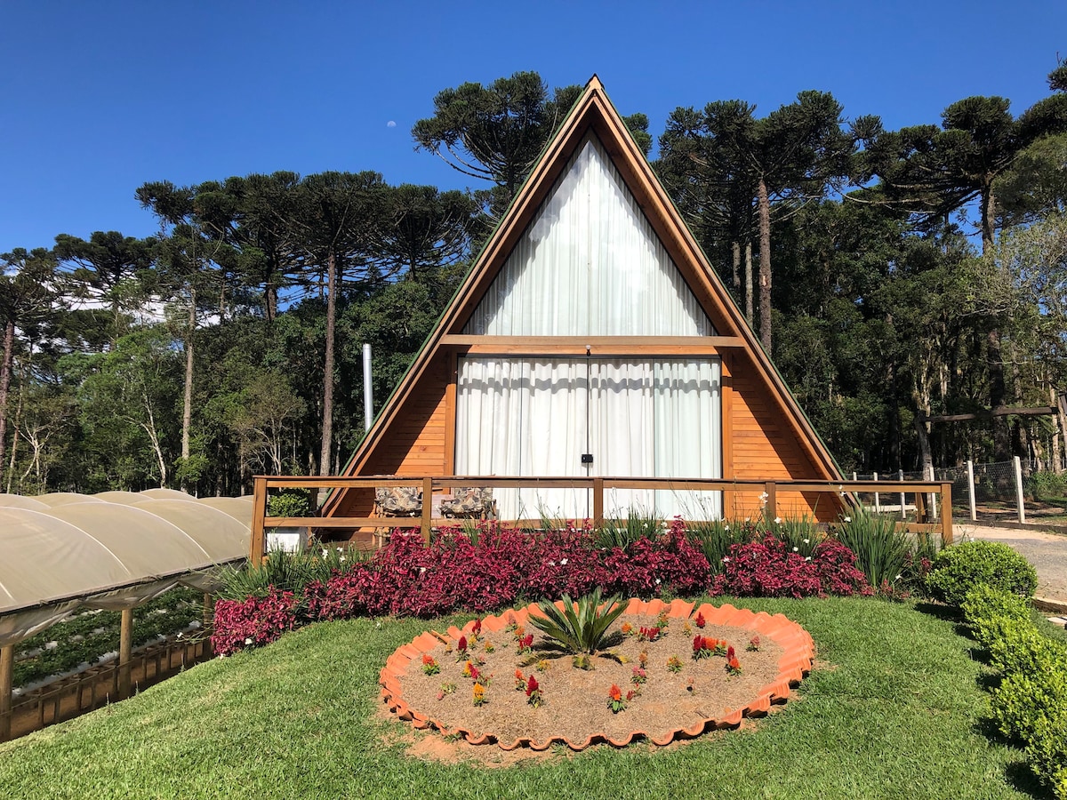 Lami Casa de Campo - Gårdsopphold til leie i Porto Alegre, Rio Grande do  Sul, Brasil - Airbnb