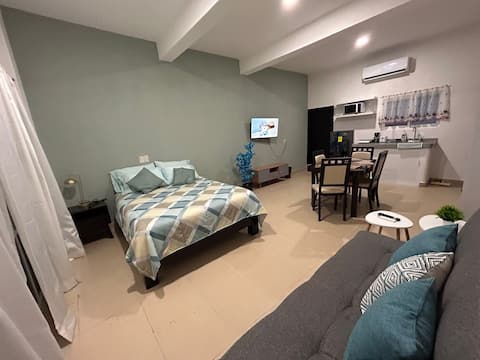 Suite Arely zona centro