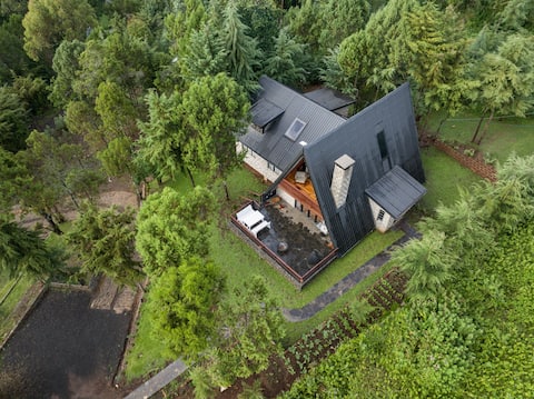 4 bedroom Cottage ForRest in Naromoru