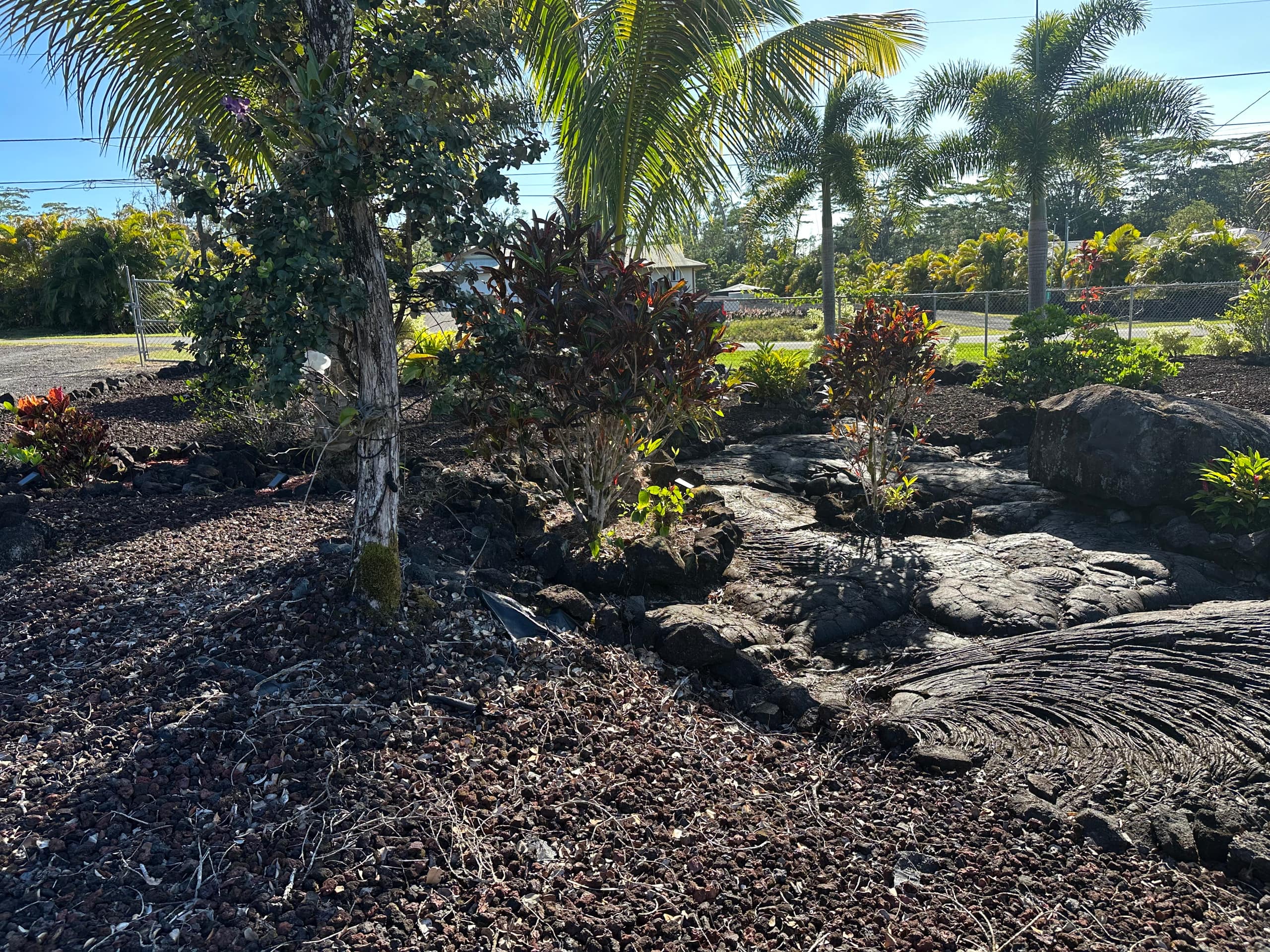 Home in Keaau · ★5.0 · 3 bedrooms · 4 beds · 2 private baths - Photo 55