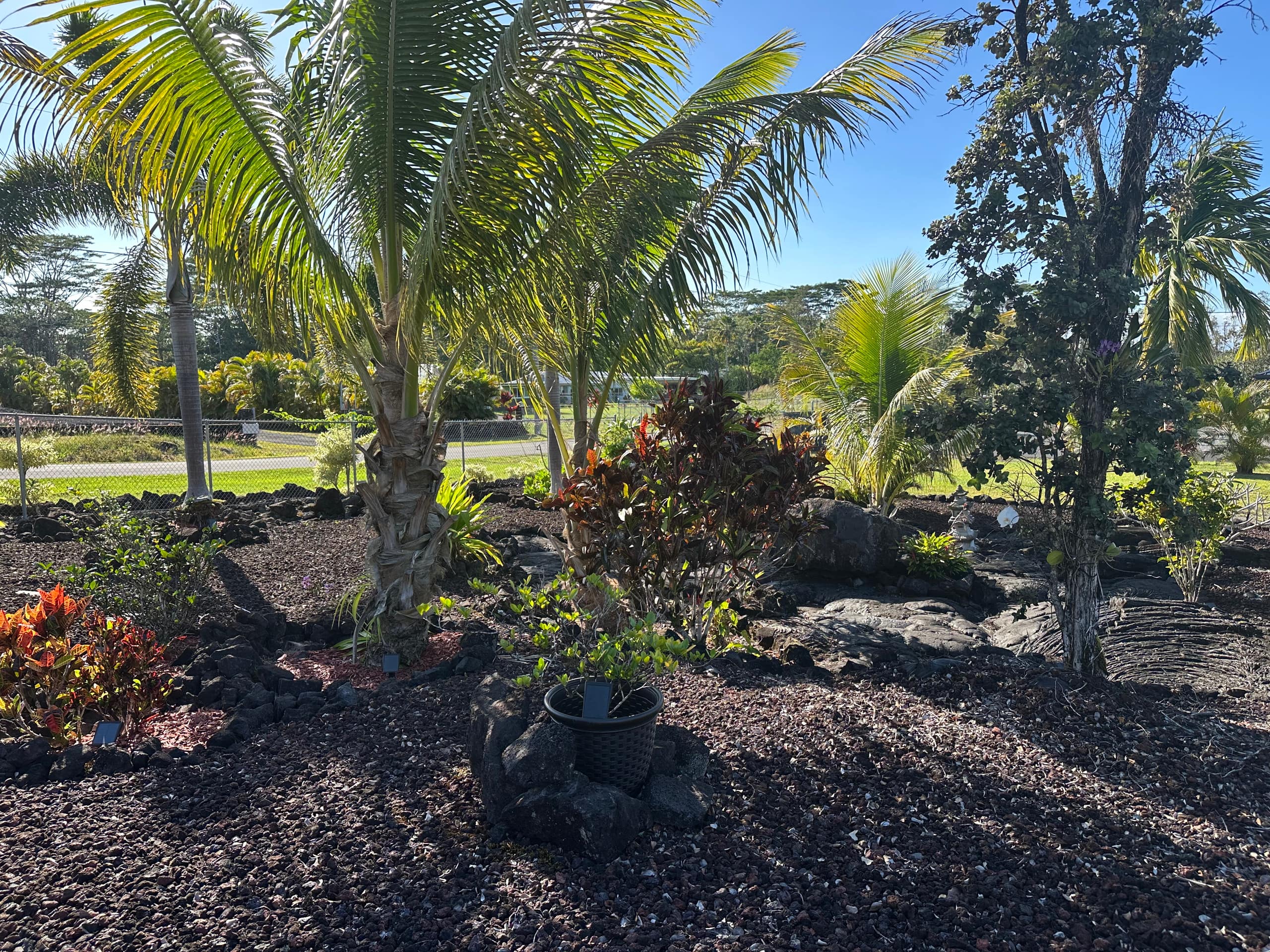 Home in Keaau · ★5.0 · 3 bedrooms · 4 beds · 2 private baths - Photo 53
