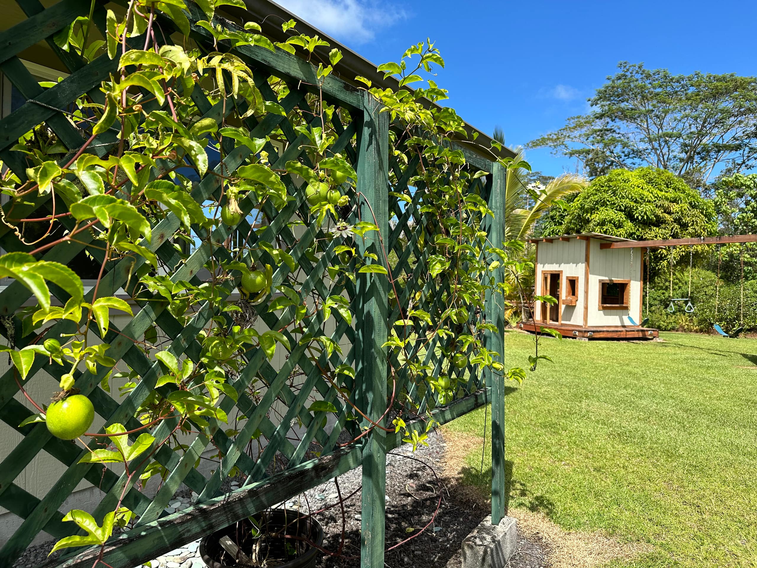 Home in Keaau · ★5.0 · 3 bedrooms · 4 beds · 2 private baths - Photo 41