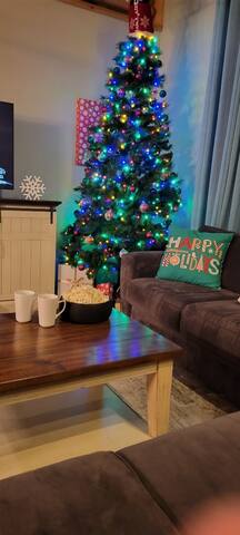 Holiday Decor|Multiple Families|Snowshoeing