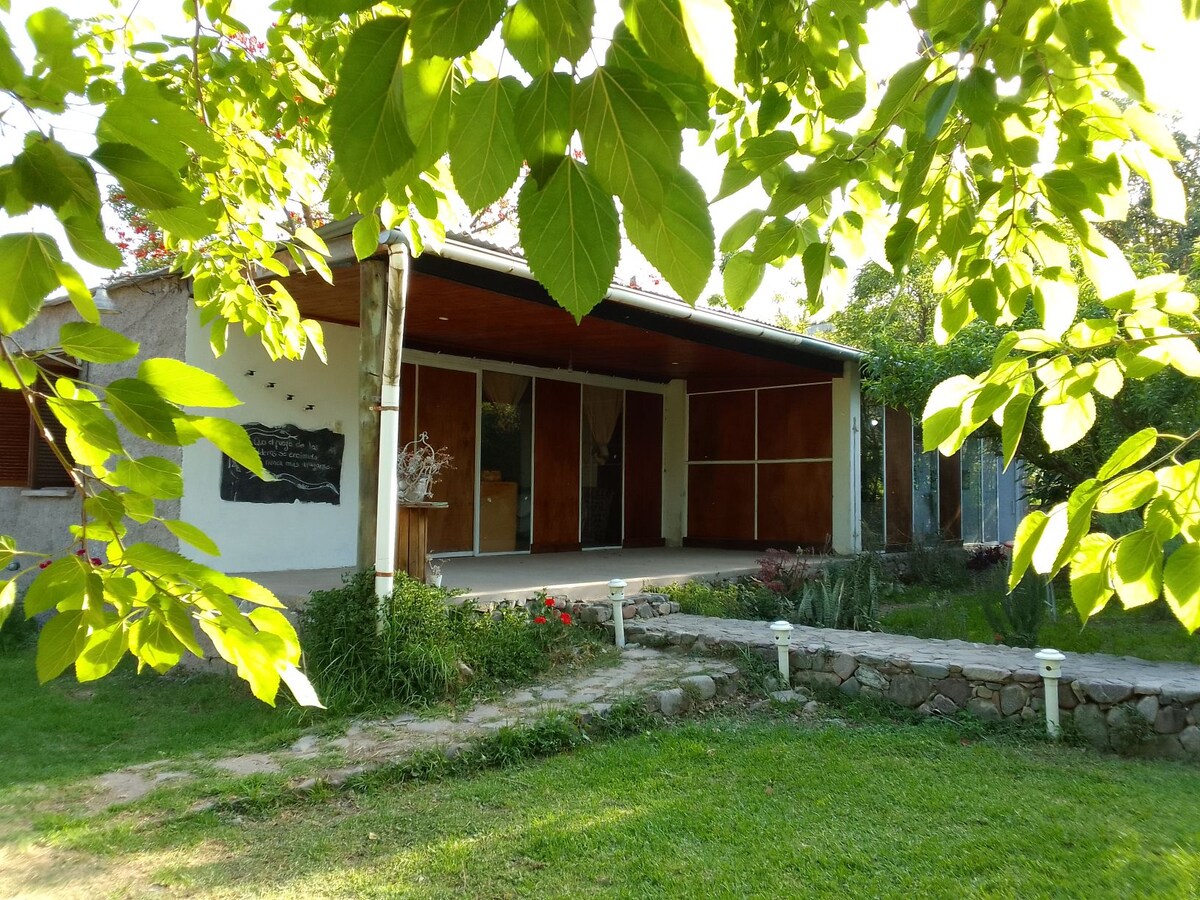 The exterior of the accommodation is framed by lush green leaves, with a spacious porch featuring large glass doors that open to the interior. The pathway is made of stone, leading through the grassy yard, creating a serene connection to nature.
