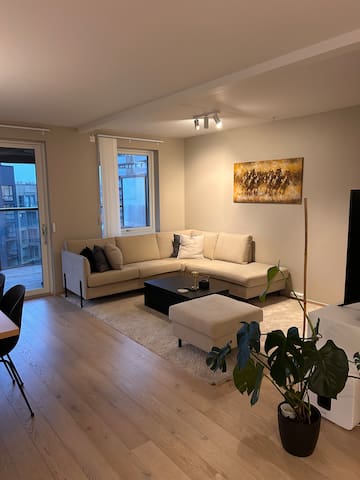 Ny leilighet med høy standard