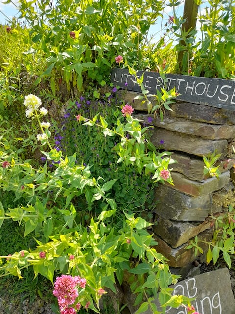 Little pitt house
Pitt house 
Helstone 
Camelford