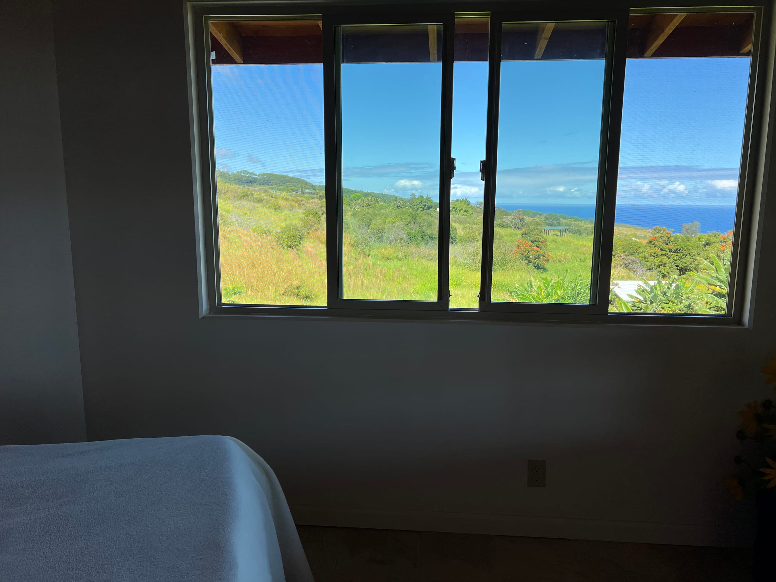 Ninole Sunrise Farm - Photo 4