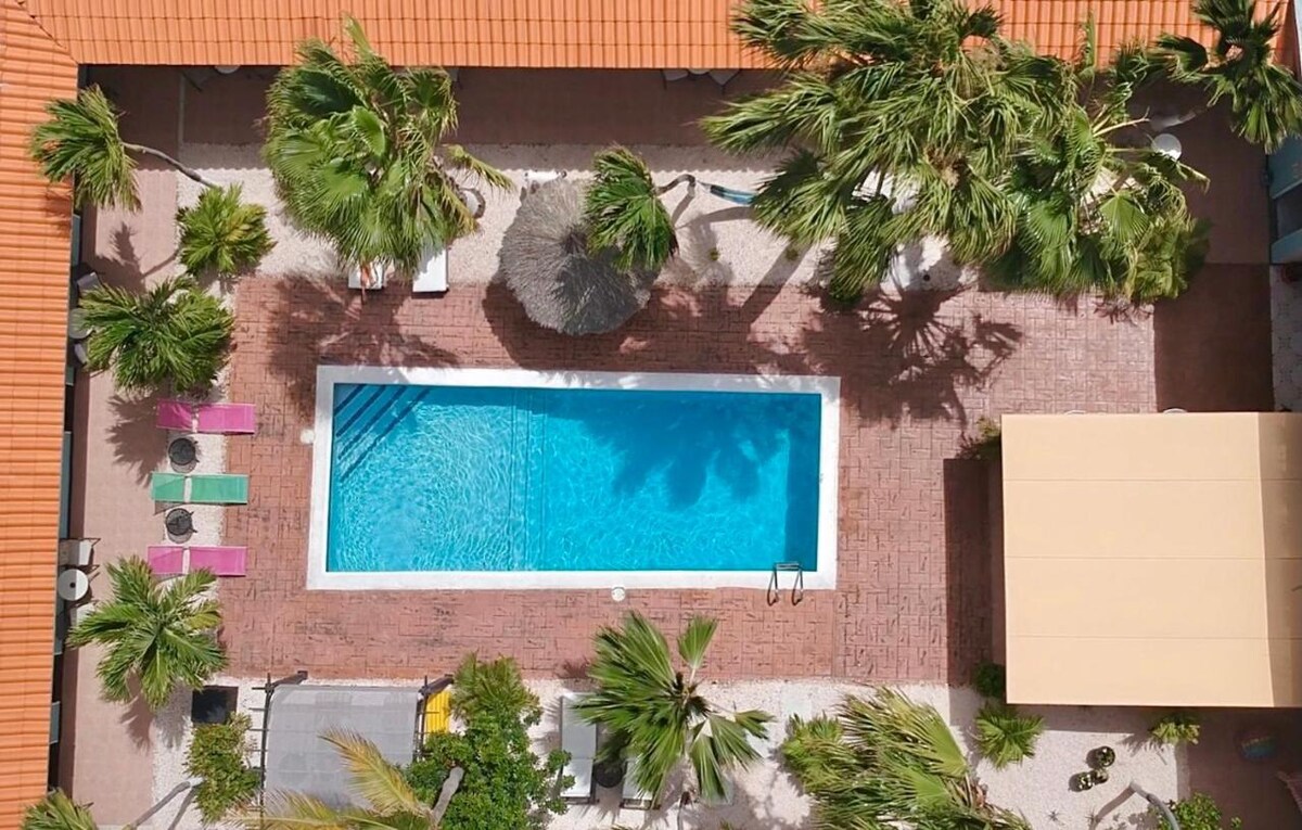 An aerial view of a rectangular swimming pool surrounded by vibrant lounge chairs in multiple colors. Palm trees sway gently in the breeze, providing a natural setting. A shade structure is visible at the edge, complementing the overall outdoor atmosphere.
