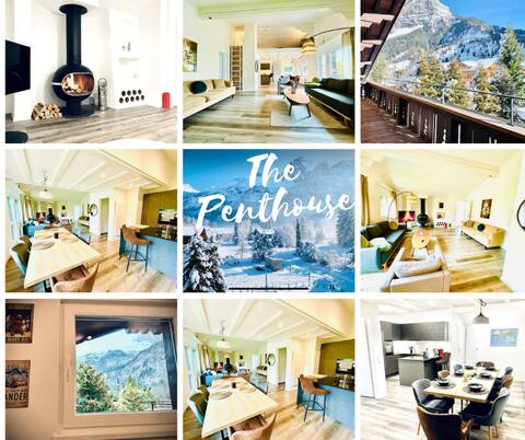 Unique Penthouse with Gallery and Mountain View