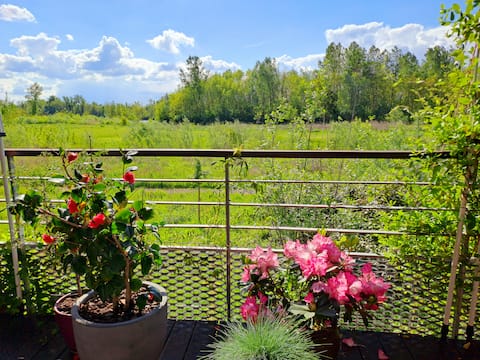 Nice quiet house and greenery 20' Strasbourg /tram