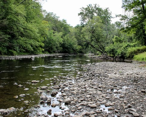 Tranquil & Private River Home