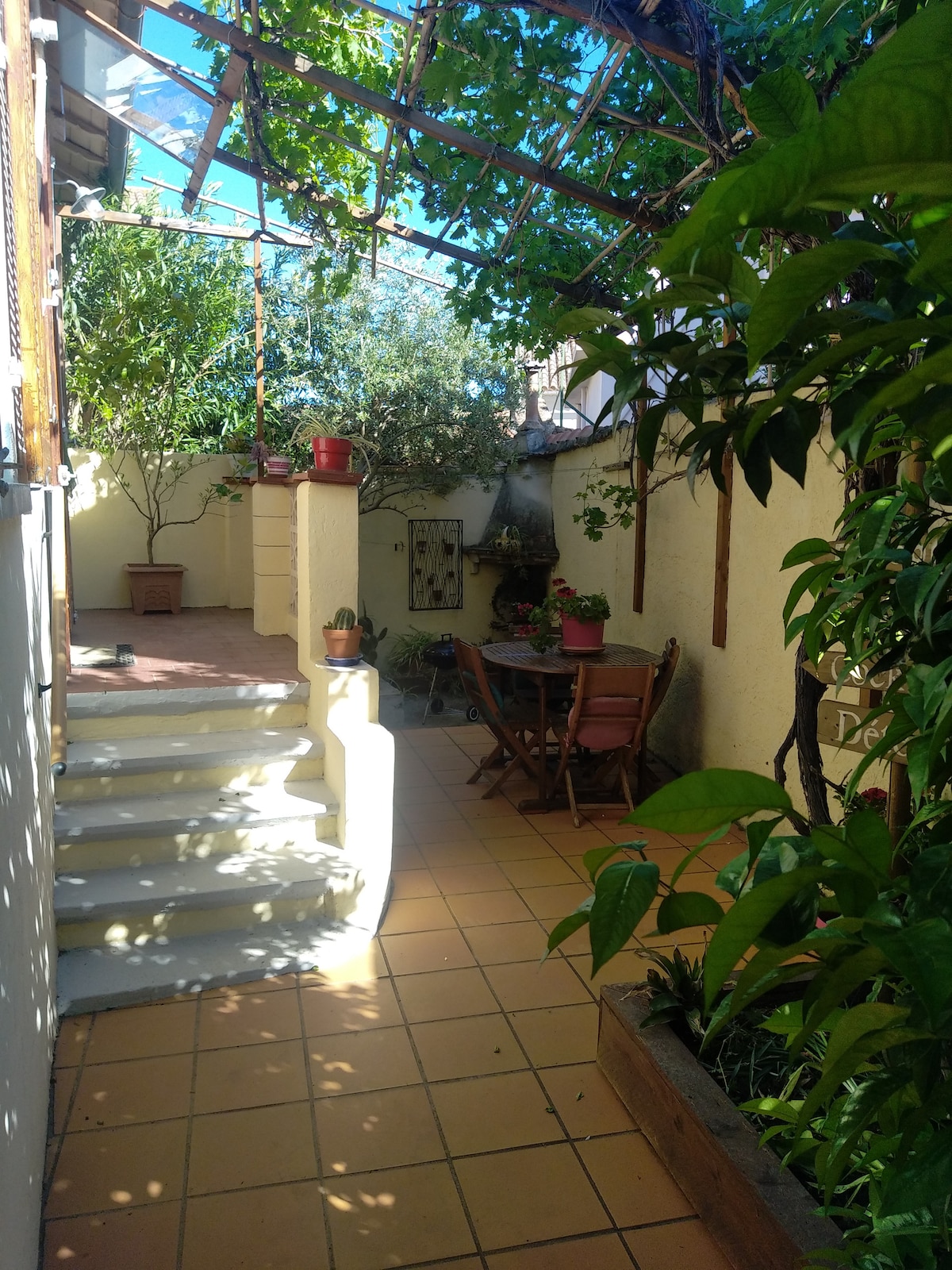 A serene outdoor patio is framed by lush greenery and climbing plants. Terracotta pots are arranged along the walls, and a wooden table with matching chairs is positioned invitingly beneath a trellis, creating a shaded area for relaxation.