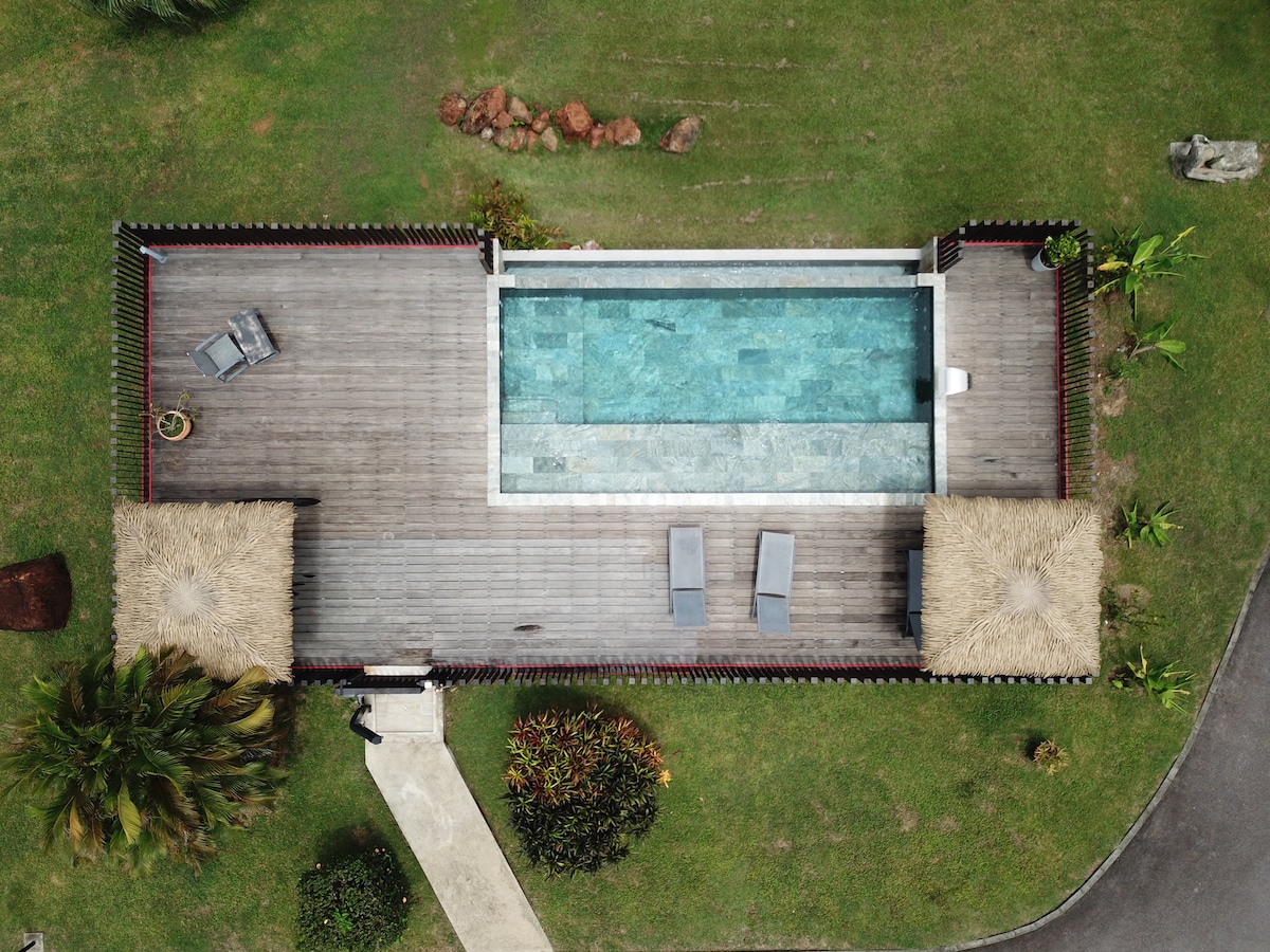 An aerial view captures a private pool surrounded by a wooden deck. Two lounge chairs are positioned under thatched umbrellas. Lush greenery borders the pool area, with landscaped plants providing a natural backdrop. The clean lines of the pool contrast with the deck's texture.