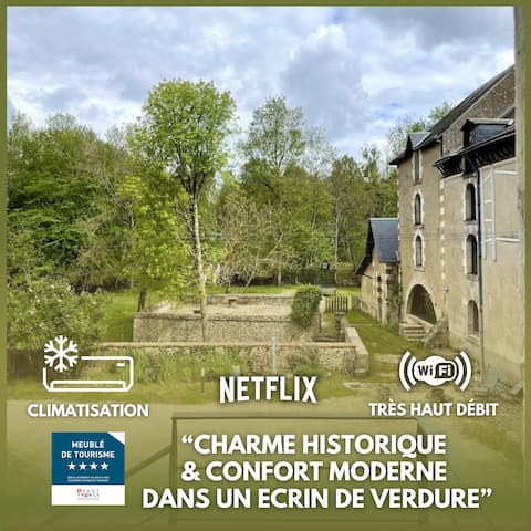 Gîte du Meunier (Moulin de Vineuil), Charm & Nature