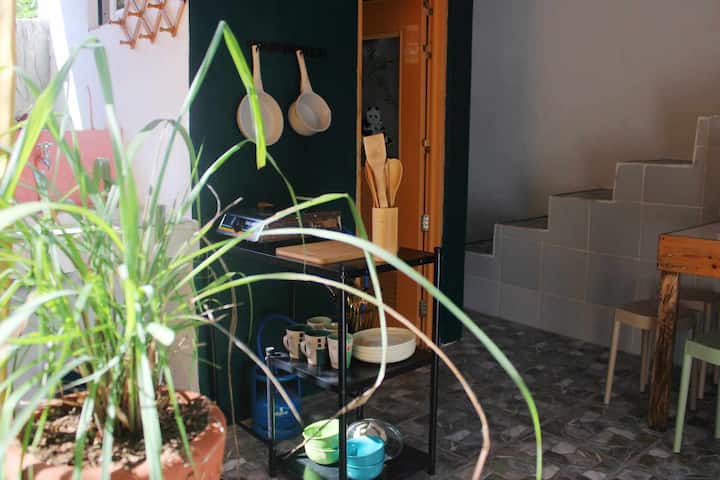 The Magic Garden - San Fernando