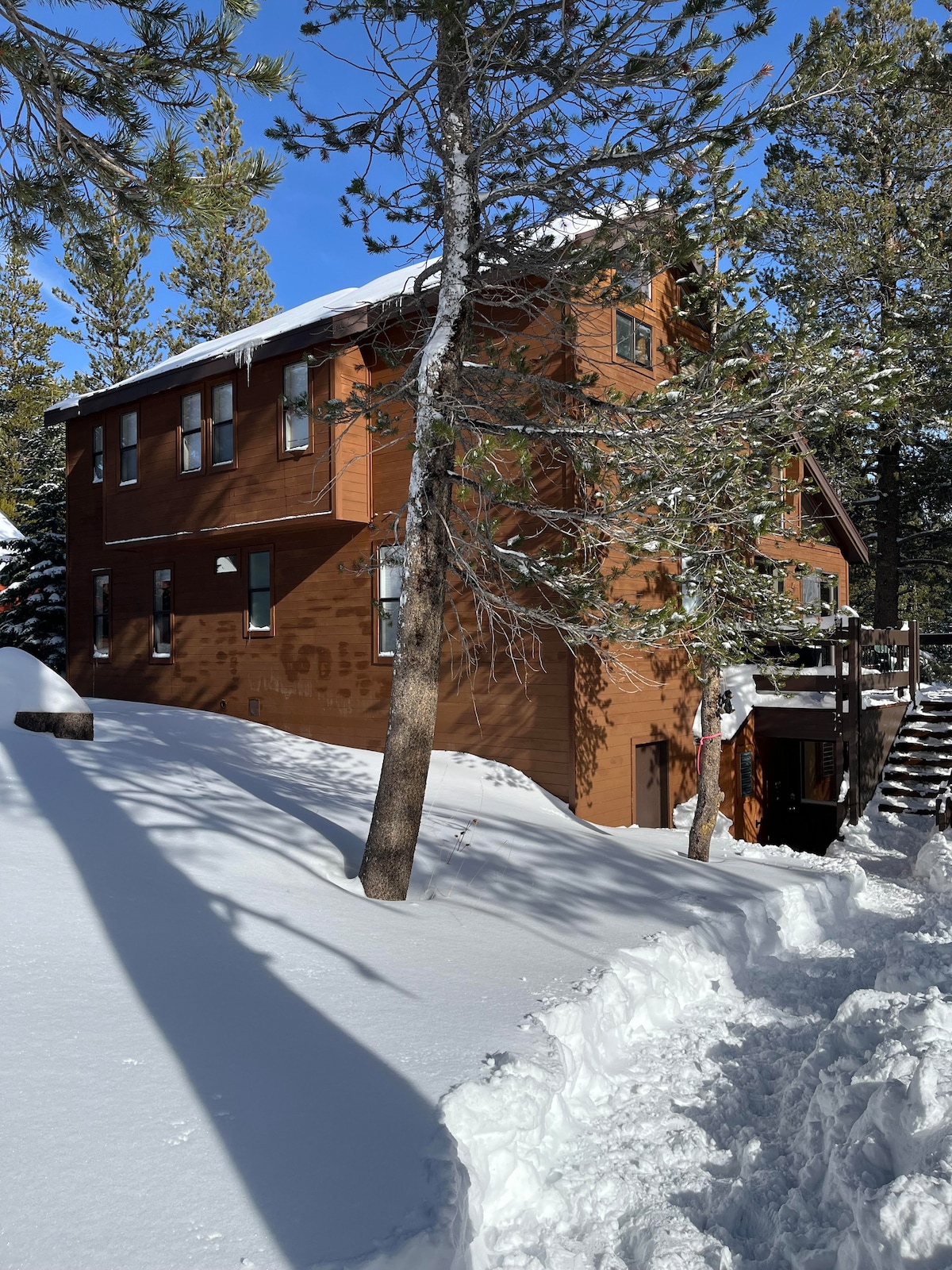 The exterior of the cabin is showcased, surrounded by snow-covered ground and tall trees. The two-story structure features wooden siding and multiple windows, while a staircase leads to a deck area. Sunlight highlights the peaceful winter setting.