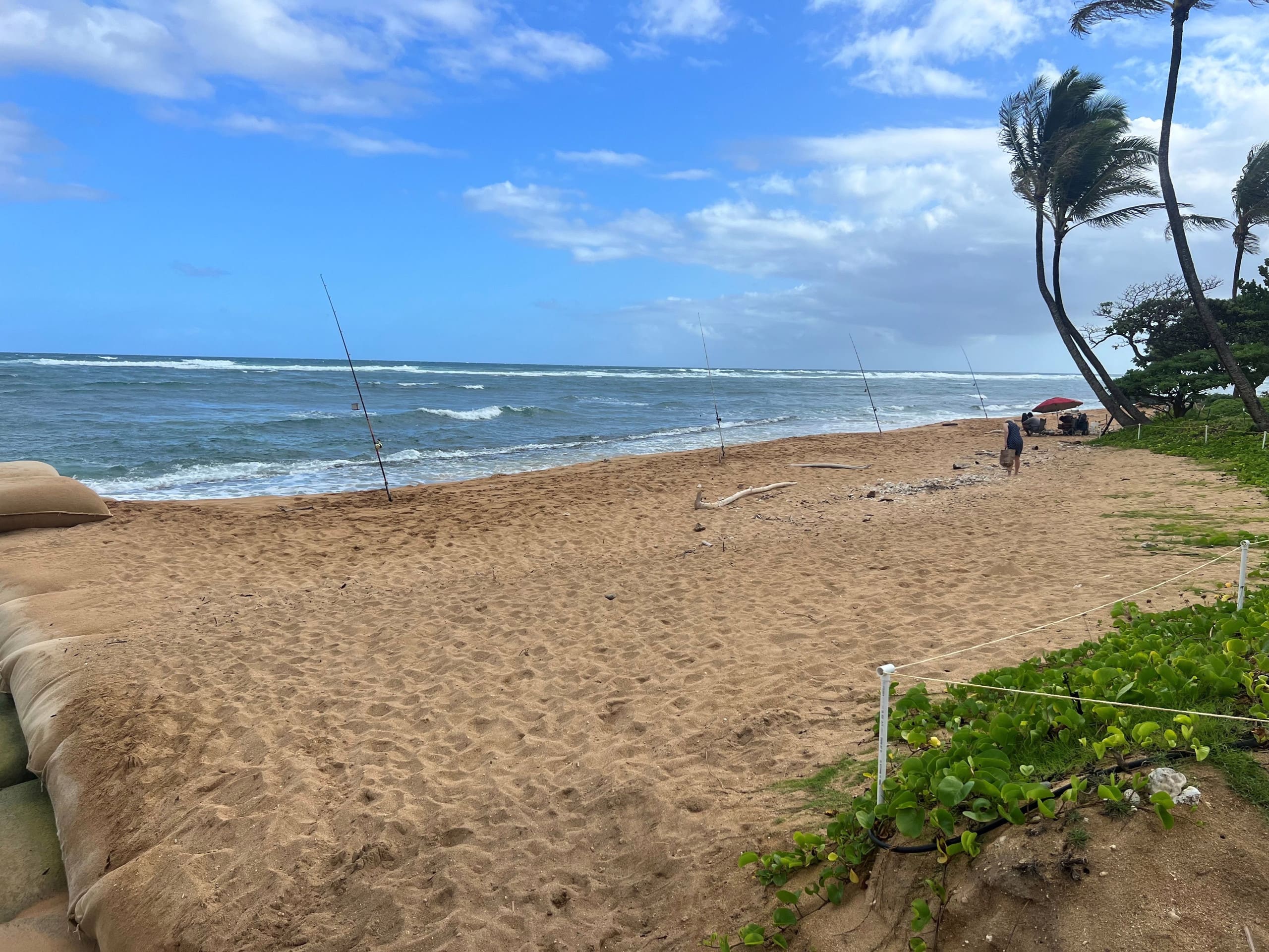 Home in Kapaa · ★4.64 · 3 bedrooms · 4 beds · 2.5 baths - Image 24