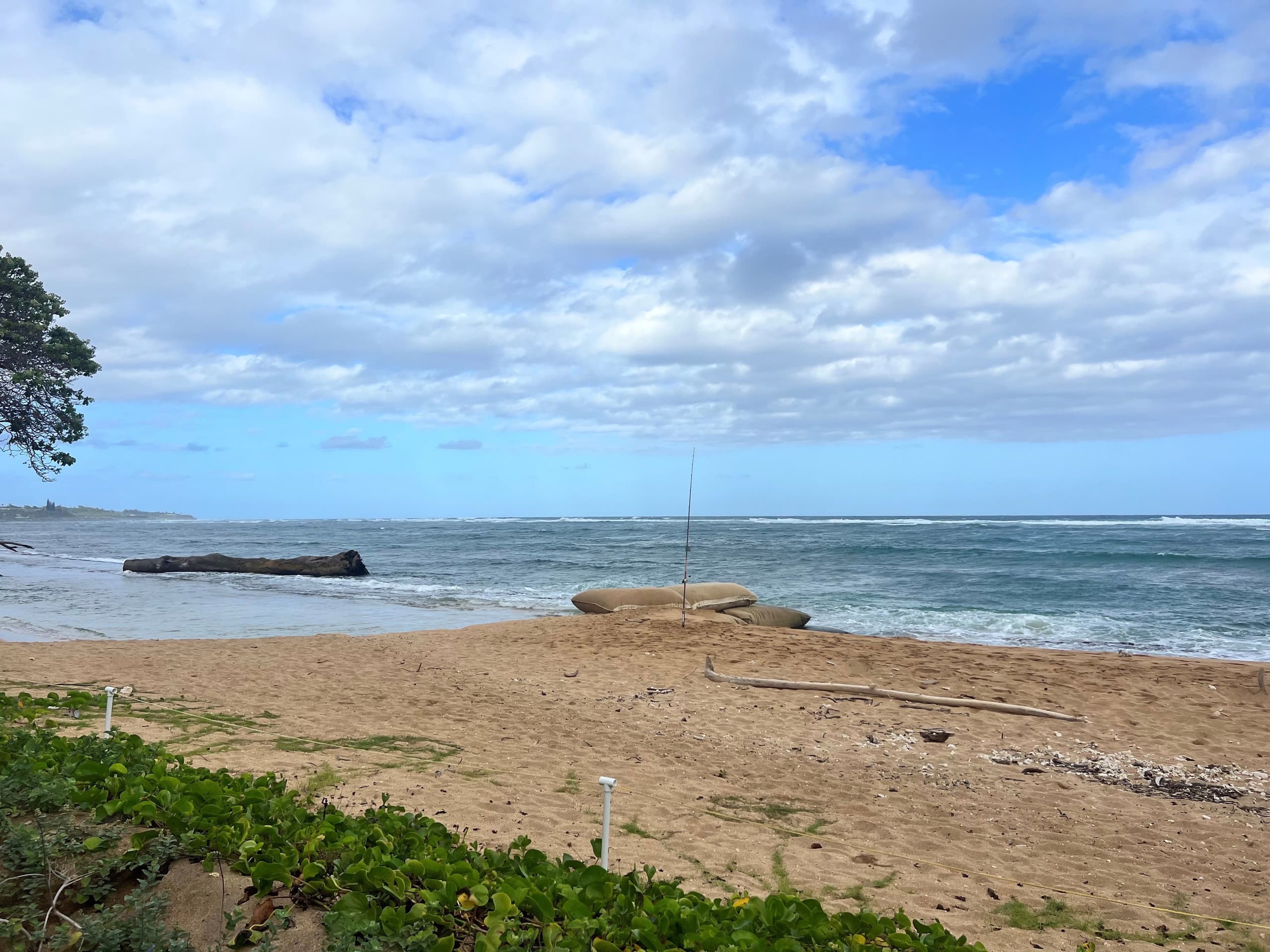 Home in Kapaa · ★4.64 · 3 bedrooms · 4 beds · 2.5 baths - Image 23