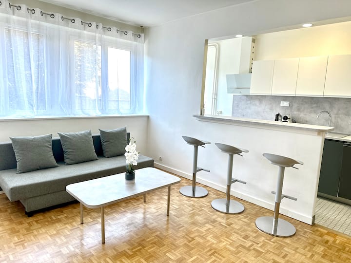 Appartement Paris 15e - Issy-les-Moulineaux
