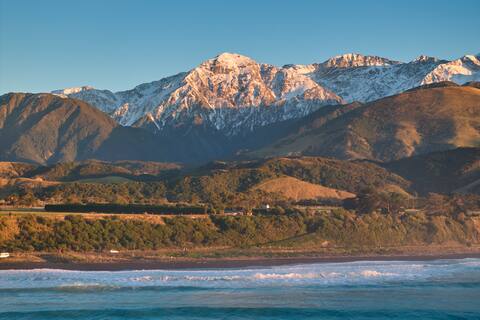 The Whole Front House