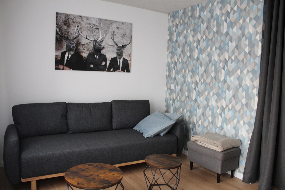 Popular Airbnb listing: Modern apartment on the Main in Main Kinzig Kreis